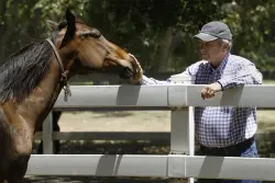 John C. Harris, California horse breeder and owner of Harris Farms, dies at 81